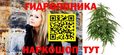 гашик Дубна