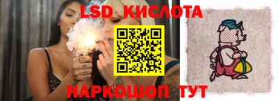 гашик Дубна