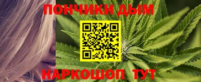гашик Дубна
